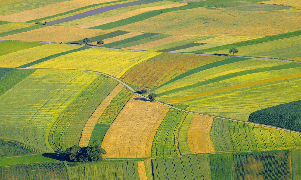 High-tech agriculture